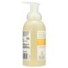 image365 by Whole Foods Market Foaming Hand Soap Anjou Pear 12 Fl OzEucalyptus