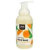image365 by Whole Foods Market Foaming Hand Soap Anjou Pear 12 Fl OzEucalyptus