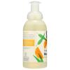 image365 by Whole Foods Market Foaming Hand Soap Anjou Pear 12 Fl OzEucalyptus