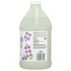 image365 by Whole Foods Market Foaming Hand Soap Anjou Pear 12 Fl OzLavender