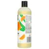image365 by Whole Foods Market Foaming Shower Gel Satsuma ampamp Eucalyptus 16 Fl Oz