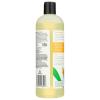 image365 by Whole Foods Market Foaming Shower Gel Satsuma ampamp Eucalyptus 16 Fl Oz