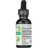 image365 by Whole Foods Market Liquid Concentrate Chlorophyll Peppermint Flavor 1 Fl Oz1 Fl Oz Pack of 1