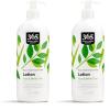 image365 by Whole Foods Market Maximum Moisture Lotion Aloe ampamp White Tea 32 Fl OzAloe  White Tea