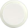 image365 by Whole Foods Market Melatonin Lozenges 25mg Peppermint Flavor 60 CT60 Count Pack of 1