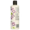 image365 by Whole Foods Market Moisture ampamp Shine Conditioner with Hemp Seed ampamp Argan Oil Lavender Scent 16 Fl Oz