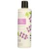 image365 by Whole Foods Market Moisture ampamp Shine Conditioner with Hemp Seed ampamp Argan Oil Lavender Scent 16 Fl Oz