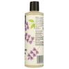 image365 by Whole Foods Market Moisture ampamp Shine Shampoo with Hemp Seed ampamp Argan Oil Lavender Scent 16 Fl Oz