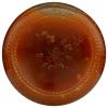 image365 by Whole Foods Market Organic Kung Pao Cooking Sauce 9 Fl Oz9 Fl Oz Pack of 1