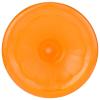 image365 by Whole Foods Market Sports Drink Orange 20 Fl Oz20 Fl Oz Pack of 1