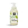 image365 by Whole Foods Market Foaming Hand Soap Anjou Pear 12 Fl OzMint