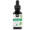image365 by Whole Foods Market Liquid Concentrate Chlorophyll Peppermint Flavor 1 Fl Oz1 Fl Oz Pack of 1
