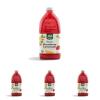 64 Fl Oz (Pack of 4)