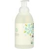 imageWhole Foods Market Organic Foaming Dish Soap Unscented 18 Fl Oz18 Ounce Pack of 1